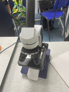 HayesbrookSch's tweet photo. Fun in the lab today with our Year 7 Science class preparing slides and looking at onion cells through microscopes. π₯Όπ₯½ #THSScience #ScienceExperiment https://t.co/zAJbPjAxBM
