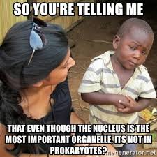 nucleusbtw's tweet photo. thats simply bcus im too advanced to mess w/little unicellular organisms https://t.co/n9gnh5X8a5