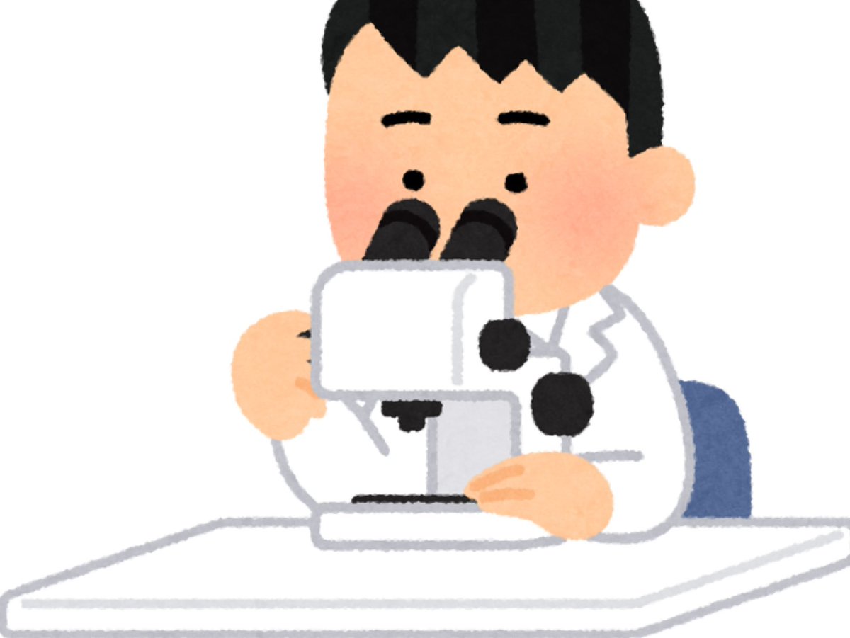 05soob1n2's tweet image. PAPA MAMA LOVE
パパママラブ
ぱぱままらぶ！？！？！？