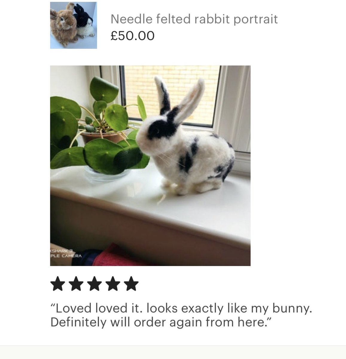 ffinlaysonart's tweet photo. Received this lovely Etsy review today! #etsyhandmade #etsyreview #bunny #rabbit #rabbitportrait https://t.co/XcTT3FPdVT