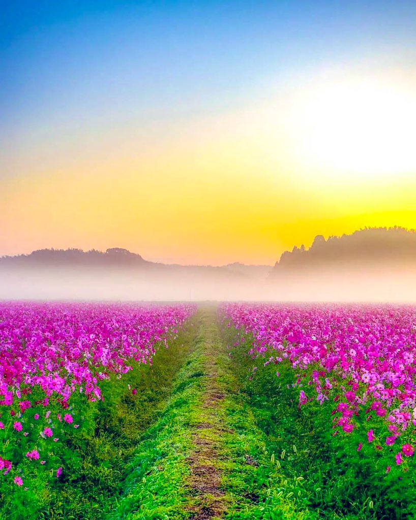 honky_tonk's tweet image. You are watching the manifestation of your spirituality.

あなたは、あなたの霊性の現れを見ています。
#spirituality #霊性 #manifestation #現れ
RP @AvellarPaulo