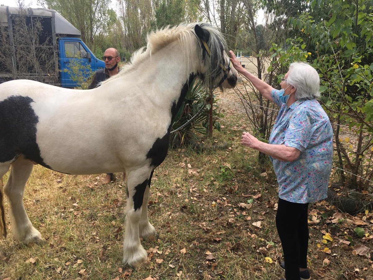 ElisabFarina's tweet photo. La terza giornata del progetto Equiage-pet therapy con i cavalli- è stata un enorme successo. Incredibile la partecipazione di Ospiti usualmente apatici e in scarsa relazione con il mondo esterno! https://t.co/mK3T9GYPLr