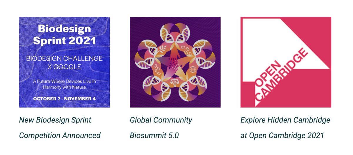 EngBio IRC (@engbioirc) on Twitter photo Catch up on the latest #SynBio news from Cambridge and beyond
Including <a href="/Biodesigned/">Biodesign Challenge</a>'s new #biodesign sprint, <a href="/globalbiosummit/">Global Community Bio Summit</a> 5.0, <a href="/OpenCambridgeUK/">Open Cambridge</a> and the next in our #practicaltechnologies webinar series
bit.ly/synbio-news-se… Catch up on the latest #SynBio news from Cambridge and beyond
Including <a href="/Biodesigned/">Biodesign Challenge</a>'s new #biodesign sprint, <a href="/globalbiosummit/">Global Community Bio Summit</a> 5.0, <a href="/OpenCambridgeUK/">Open Cambridge</a> and the next in our #practicaltechnologies webinar series
bit.ly/synbio-news-se…