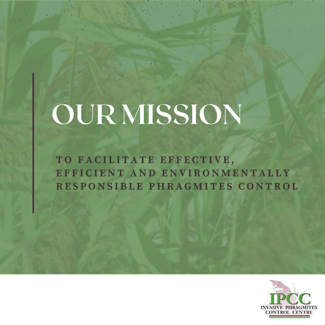 phragcontrol's tweet image. “Our mission at IPCC is to facilitate effective, efficient and environmentally responsible Phragmites control”  

Learn more about our organization at: phragcontrol.com/about

#phragmites #environment #mission #invasiveplant #environmentallyresponsible #phragmitescontrol
