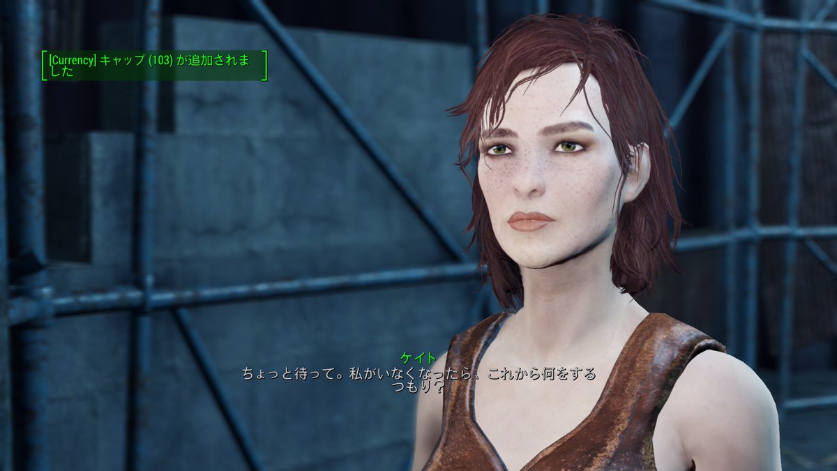 Peregrine Falcon On Twitter Fallout4 2人はmodのコンパニオン Vanillaのコンパニオンは5人まで同時に仲間にできた 1 画像では4人だが 2と3 この後もう一人加入できた