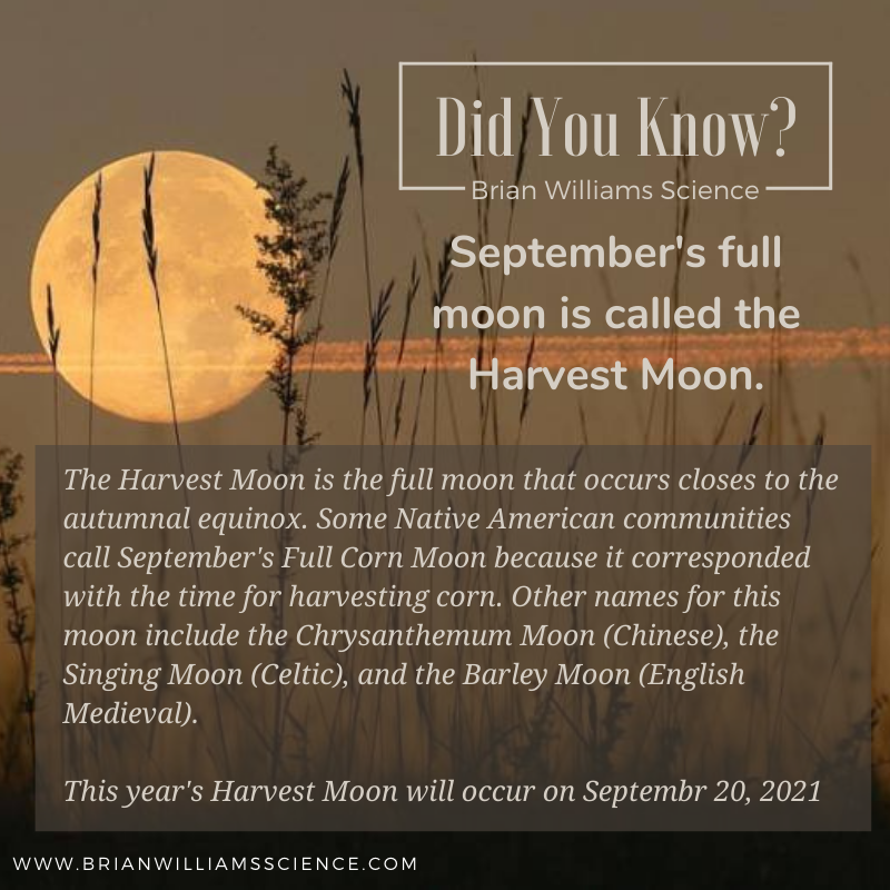 Don't miss this month's #fullmoon! #DoSomeScience