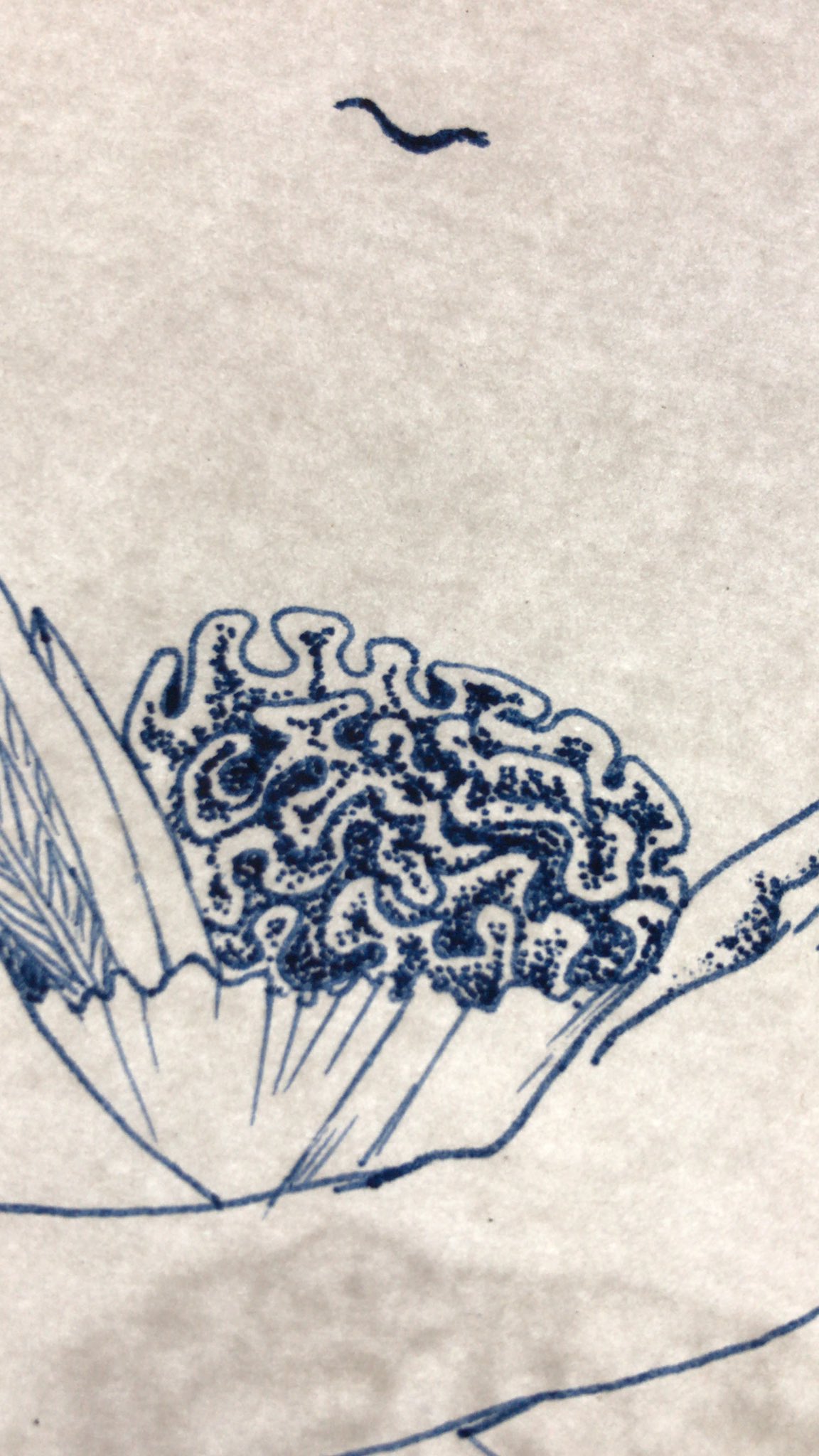 花の描き方 Twitter Search Twitter