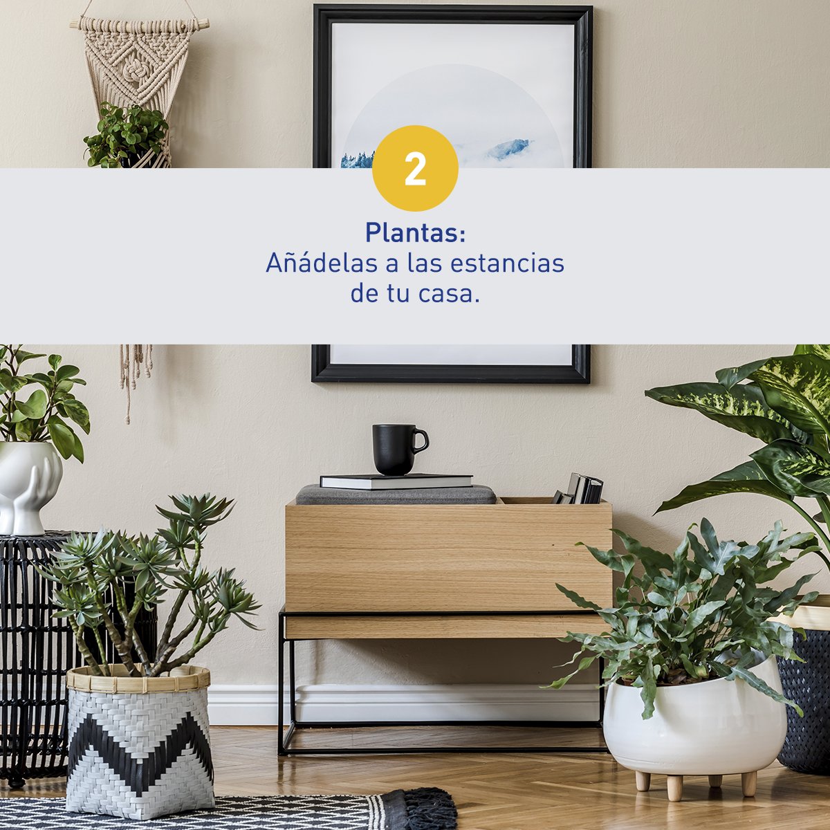 Hercesa's tweet photo. #Decotip Septiembre es un mes de cambios, y que mejor manera que la vuelta a la rutina con unos cambios en nuestro hogar.
Desde hi! Queremos darte algunos consejos para que le des un nuevo enfoque a la decoración de tu vivienda sin gastar mucho dinero: https://t.co/jbfraQXEp0