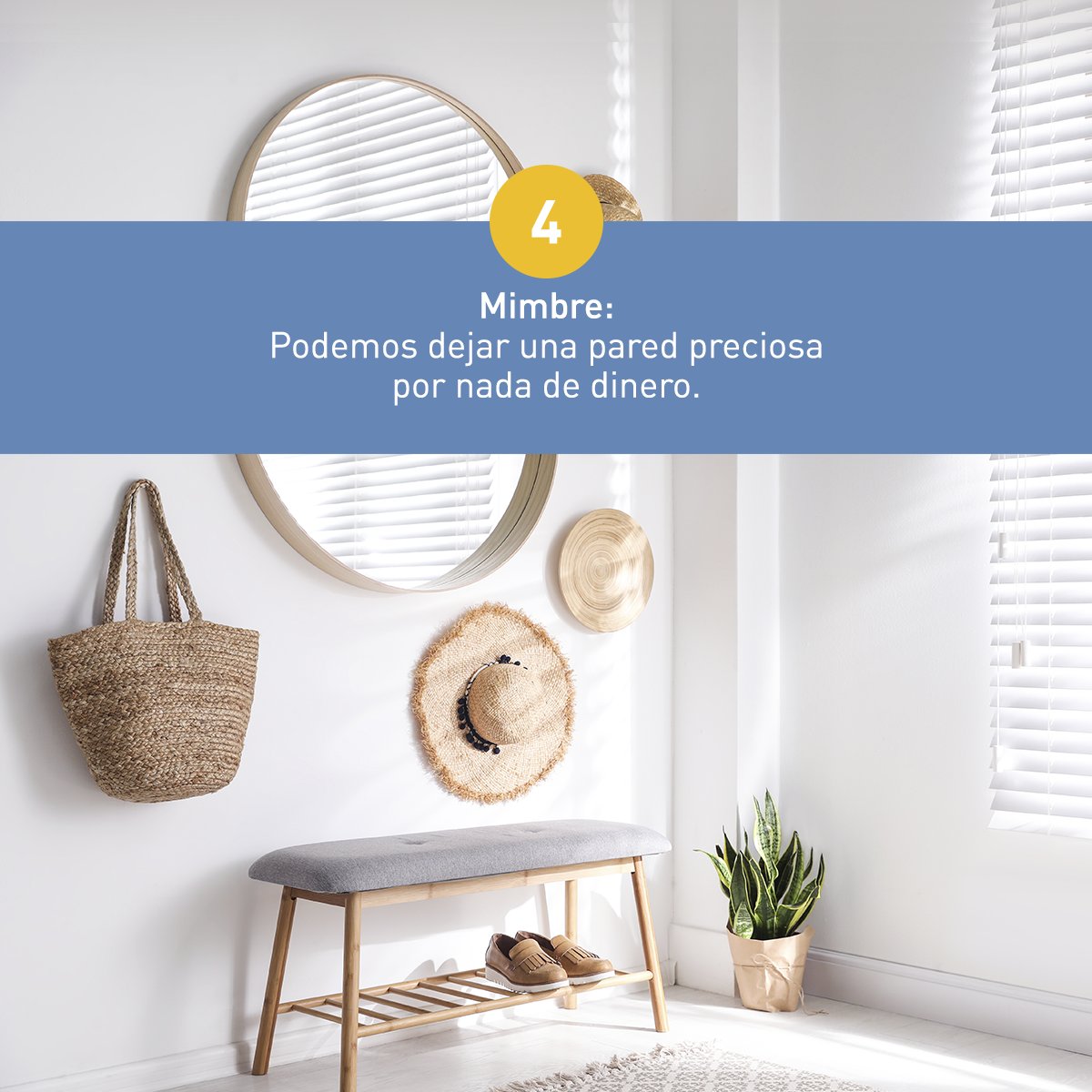 Hercesa's tweet photo. #Decotip Septiembre es un mes de cambios, y que mejor manera que la vuelta a la rutina con unos cambios en nuestro hogar.
Desde hi! Queremos darte algunos consejos para que le des un nuevo enfoque a la decoración de tu vivienda sin gastar mucho dinero: https://t.co/jbfraQXEp0