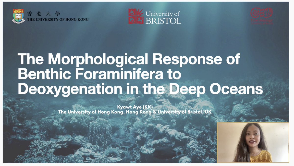 Moriaki Yasuhara tweet media