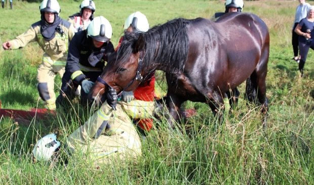 Brandweer Rolde helpt paard uit sloot