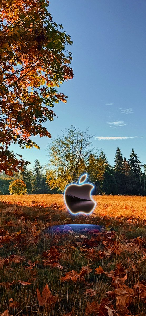 Feels like fall now! 
Happy #appleevent day 🍁🧡🍂