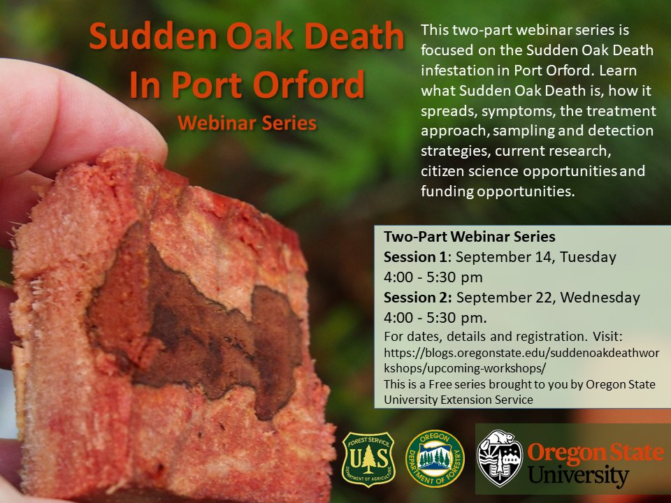 For our friends in Oregon: two-part webinar series about Sudden Oak Death, starting today!