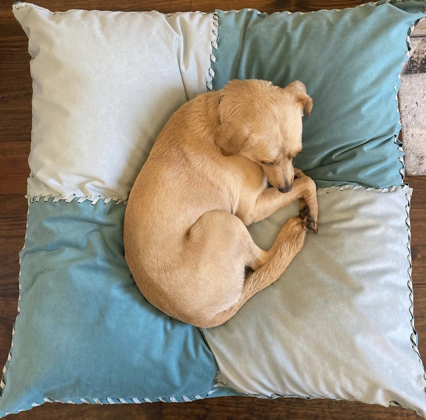 A nap on an Ultrasuede meditation pillow is the only vibe we need today. 😴🐶 Durable Ultrasuede HP is perfect for any DIY project. Purchase your Ultrasuede at @fabricdotcom  #BeautifulPossibilities | Project and photo via <a href="/TrimQueen/">TrimQueen - Product/Strategy Marketing/Mentoring</a>