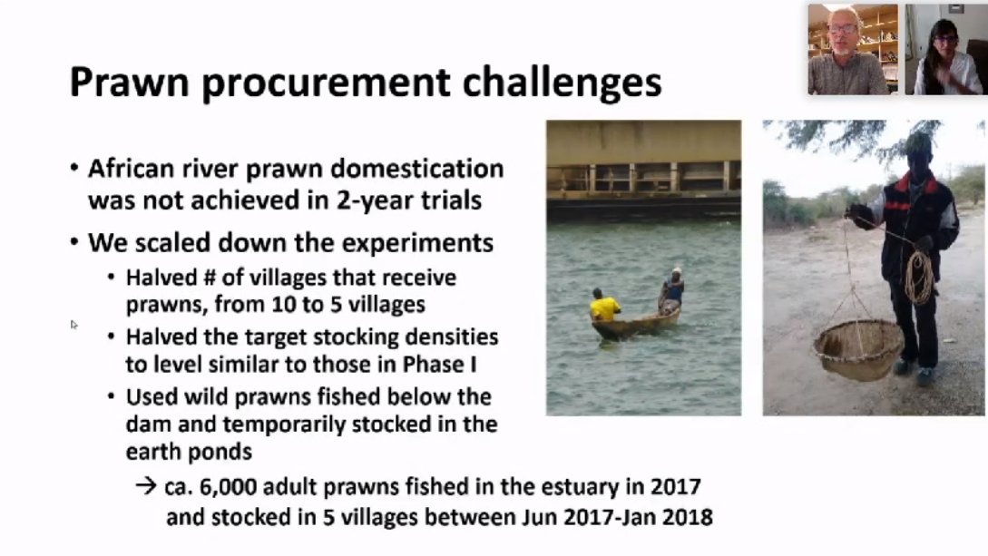 In real-world applications there are always new challenges we need to face. Prof Giulio de Leo - Senior Fellow, Woods Institute for the Environment <a href="/StanfordWoods/">Stanford Woods Institute</a> <a href="/DeLeoLab/">De Leo Lab</a> <a href="/HopkinsMarine/">Hopkins Marine Station Stanford University</a> shares this team's experience on biological control of #Schistosomiasis in Senegal
#BeatNTDs
