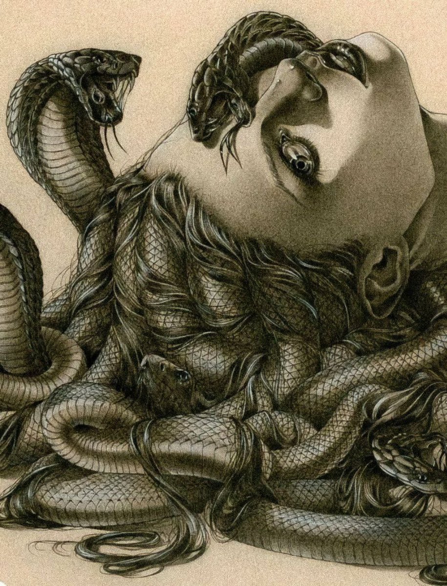 acid666host's tweet photo. “medusa” by zoe lacchei https://t.co/tlFNR8QR44
