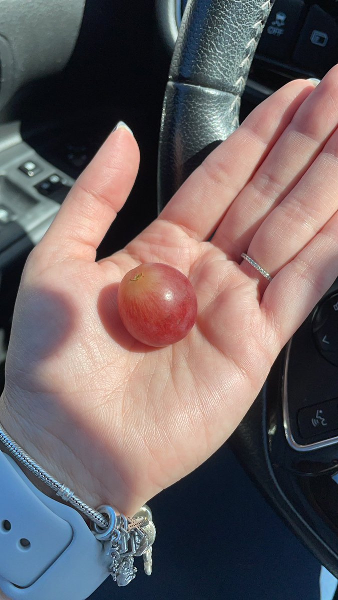 I went to observe a teacher with one of my old students and one of them comes up to me and says: “Te gustan estás maestra? Y yo sí claro me encantan y me dice okay te la doy, quieres más?” Chiquito hermoso, de esas cosas tan sencillas que te hacen extrañar el salón un poquitito