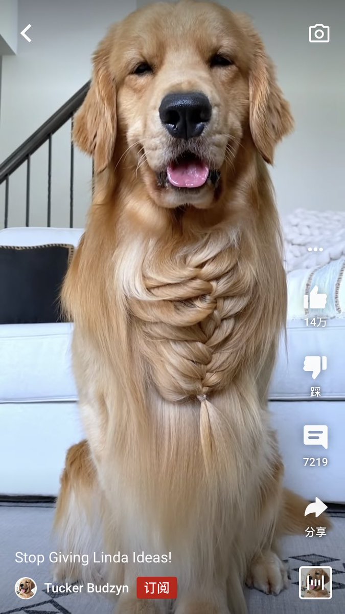 ผมสาวผมบลอนด์             เฉลย