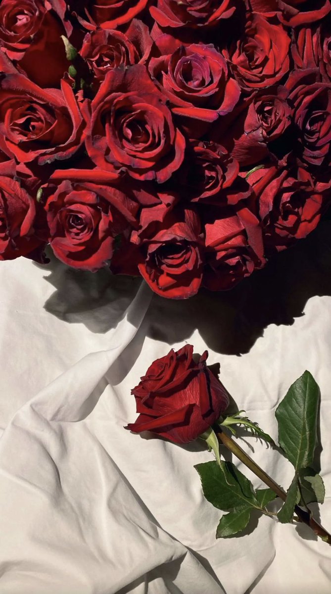 مساء ال :

ياجعل ضحكاتك تكثر على
          مبسّمك يا أعذب أشخاصي !♥️🕊