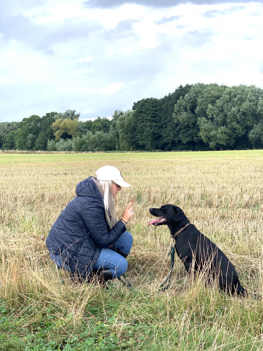 🐾🐾🐾 …

… Dog walking has its advantages when you get to spend all your time in the countryside😍

#durnallequineandcanine 
#equinelife
#britishgrooms 
#britishgroomsassociation 
#canine 
#caninelife 
#smartgrooming
#doglover
#horselover
#equestriangroom