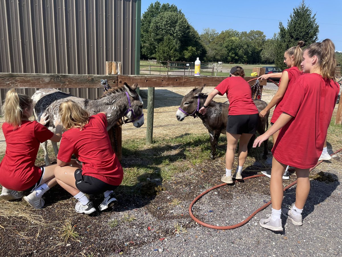 Maryville WLAX (@maryvillewlax) on Twitter photo #MRO21 Dawgs had a GREAT day helping out Equine Assisted Therapy!! ❤️🐾<a href="/MaryvilleU/">Maryville University</a> <a href="/MaryvilleSaints/">Maryville Athletics</a> #MRO21 Dawgs had a GREAT day helping out Equine Assisted Therapy!! ❤️🐾<a href="/MaryvilleU/">Maryville University</a> <a href="/MaryvilleSaints/">Maryville Athletics</a>