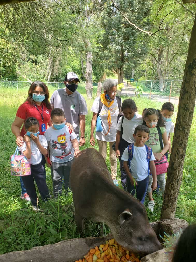 La Danta de nombre Yacambu, fue parte de la fauna del Zoológico de Caricuao disfrutada por las niñas y niños del Plan Vacacional del #IVSS. #14Sep #PorUnSeguroMásSocial #AlertasContraElSabotaje @MagaGutierrezV @NicolasMaduro