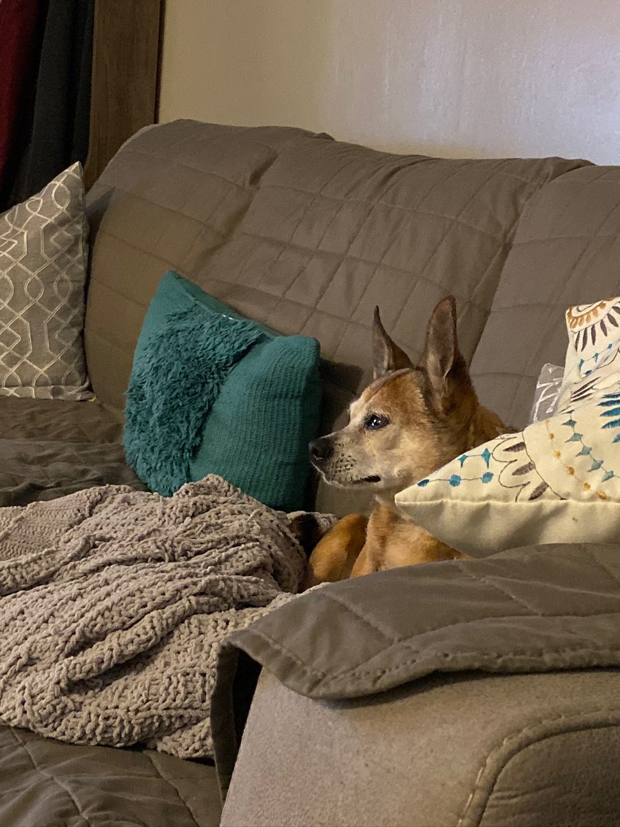 Boneloads tweet media