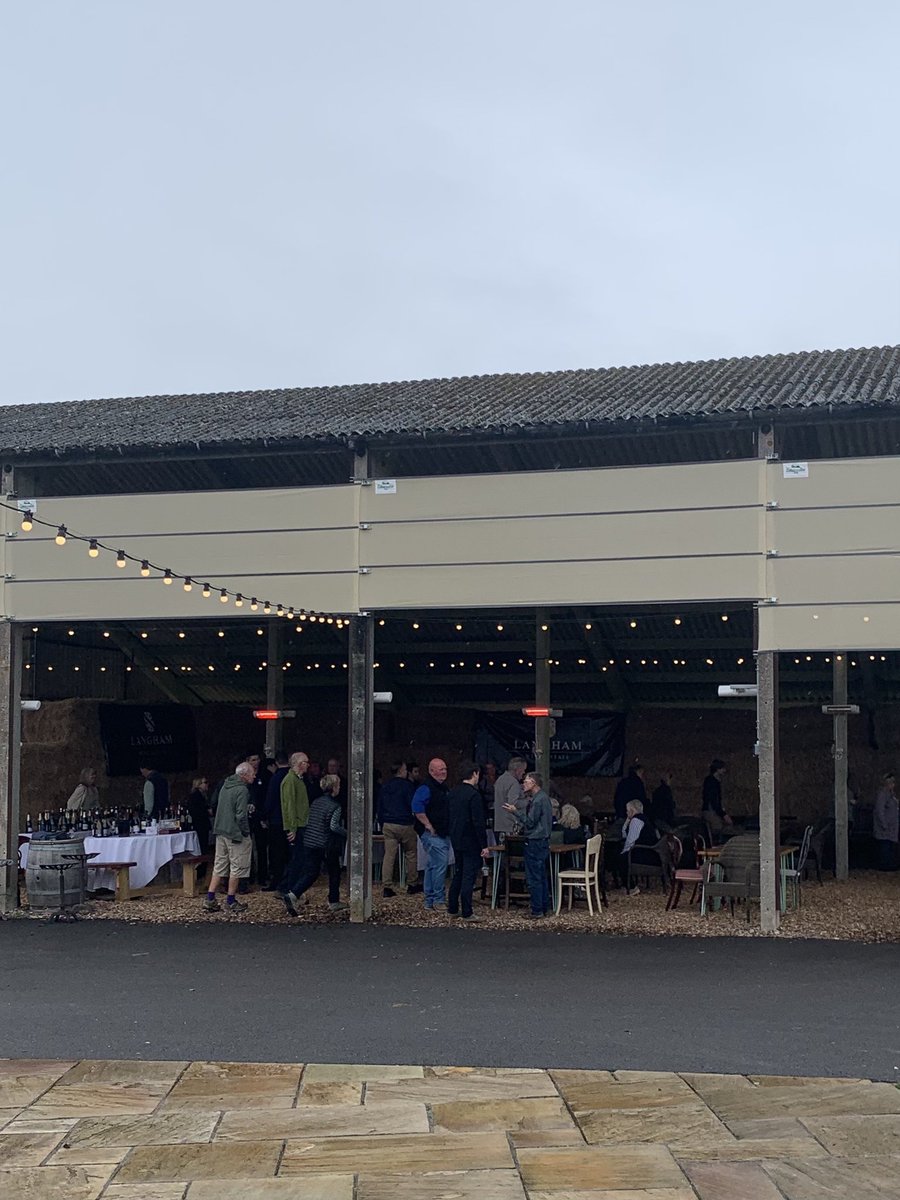 angela mount tweet media