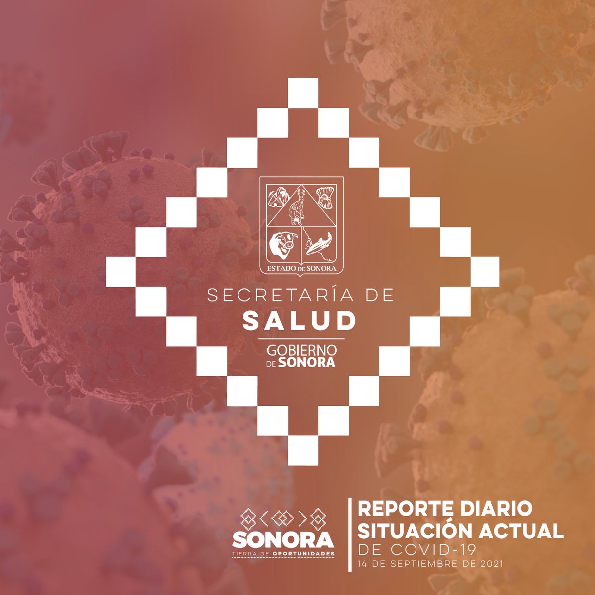 ssaludsonora's tweet photo. Actualización de nuevos casos de  COVID-19 en Sonora. 

Ve datos de hoy 14 de septiembre 2021. https://t.co/Jl746yvLWU