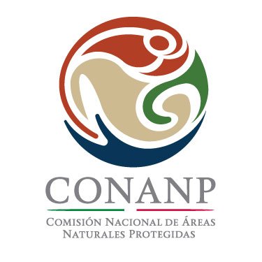 2/7
Centro Mexicano de la Tortuga, or National Mexican Turtle Center in English (CMT) emerged as an economic and social alternative for the effects of total and permanent ban protection of marine turtles which was enacted in May 1990.