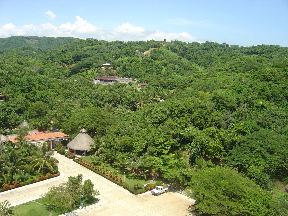 7/7
The Center for the management of wild species are also an opportunity to learn about aspects of the biology that in other way would be impossible to observe. Furthermore, in some cases reserves for the reintroduction of organisms into decimated populations are possible.