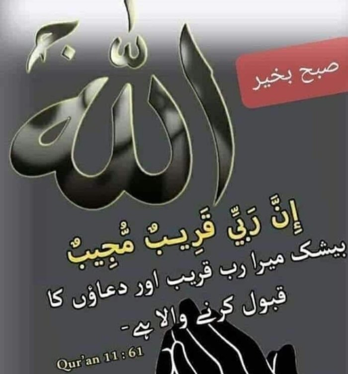 یا اللّه مجھے اتنی پاکیزگی عطاء کر دے
🥀💙🥀
 کہ ہمارے نبی *حضرت محمد ﷺ* کے سامنے شرمندہ نہ ہوں
#MNS