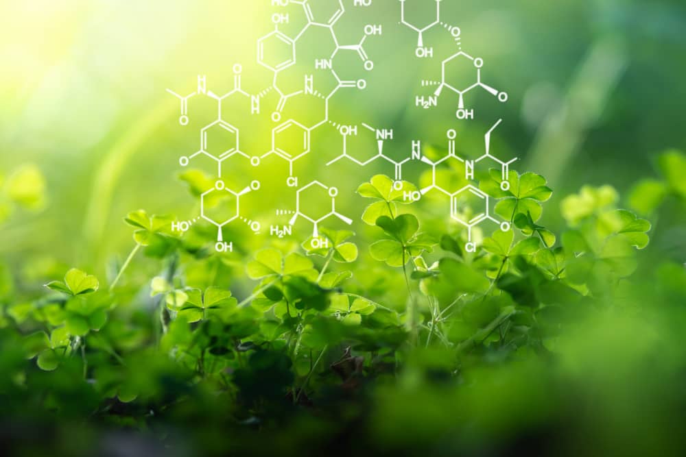 SEEMagazine2's tweet photo. Définie comme étant la science qui étudie les vivants, la biologie recouvre une partie des sciences de la nature et de l'histoire naturelle des êtres vivants.
#Science #nature #biologie #seeMag https://t.co/X8p2SwVgcL