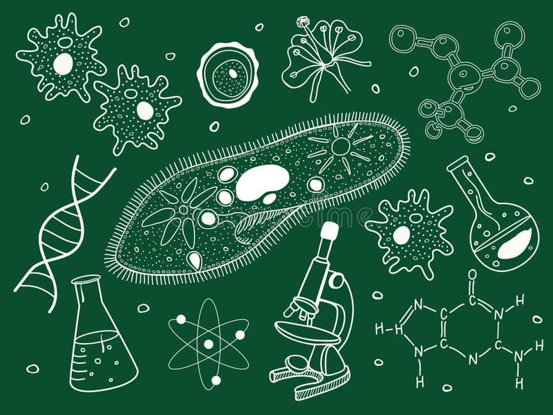 Définie comme étant la science qui étudie les vivants, la biologie recouvre une partie des sciences de la nature et de l'histoire naturelle des êtres vivants.

#Science #nature #biologie #seeMag