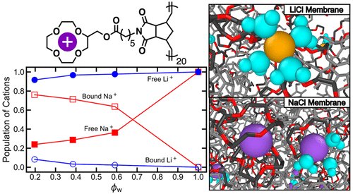 M_WET_Center's tweet photo. Check out @eszofchak of the @BennyFreeman13 and Ganesan lab's latest publication "Origins of Lithium/Sodium Reverse Permeability Selectivity in 12-Crown-4-Functionalized Polymer Membranes" @TexasChE @CockrellSchool  https://t.co/O3Kq9k2BGZ https://t.co/ohHoTB8Epe