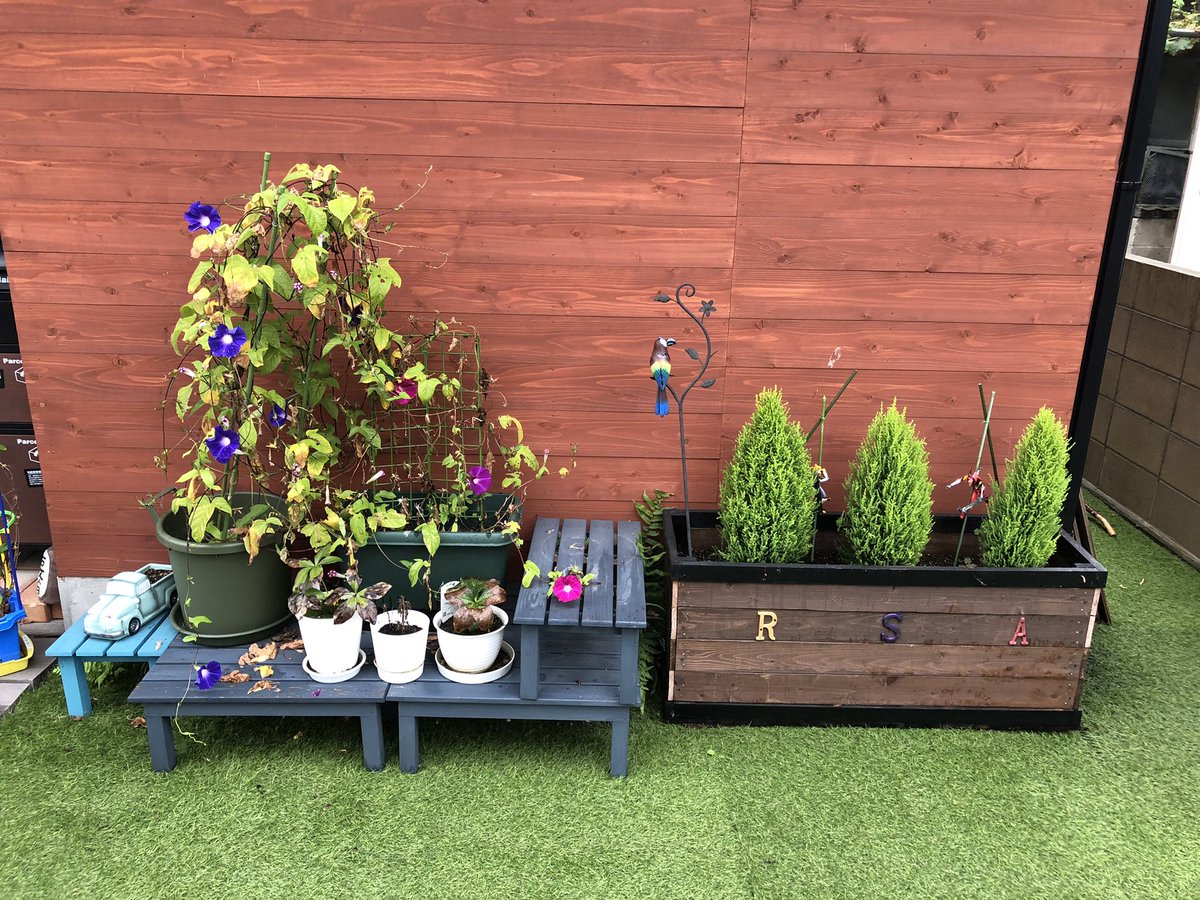 ﾌｳｾﾝｶｽﾞﾗ