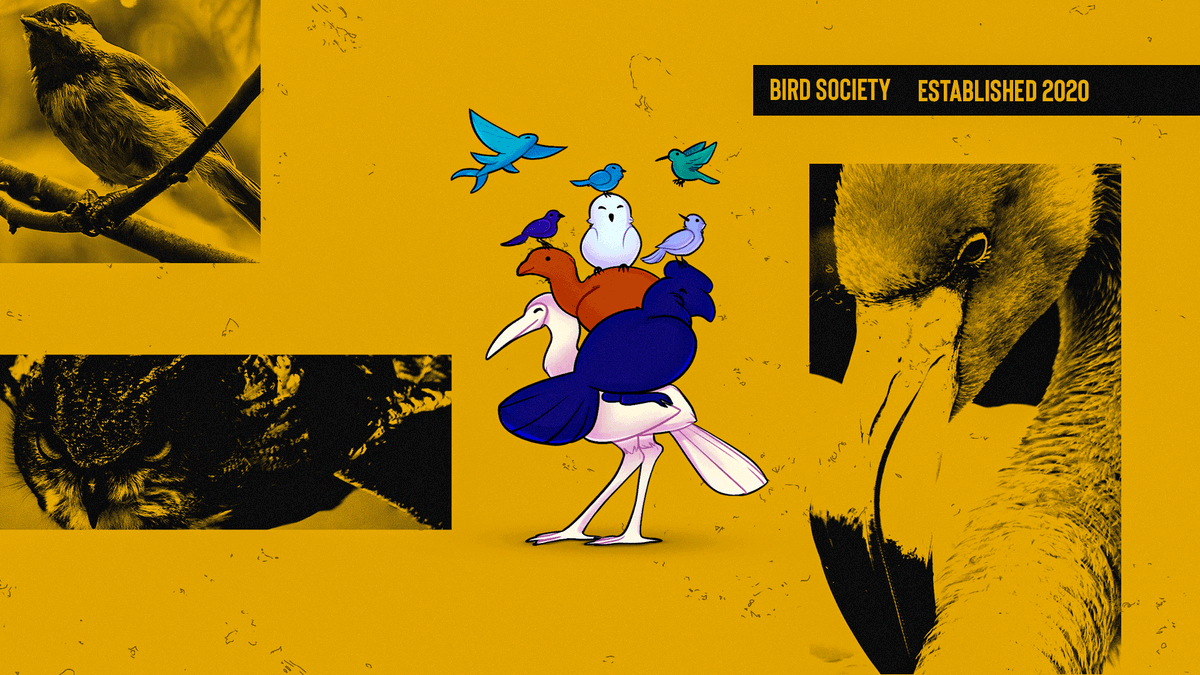 BirdSocietyES's tweet photo. birb™️ - for phones or computers.

🔗 https://t.co/JjE6xwkP7l &amp; https://t.co/ctX9WILV9c

🎨 @zebraffe + @MoMoBitez https://t.co/zeOMkpS4ls