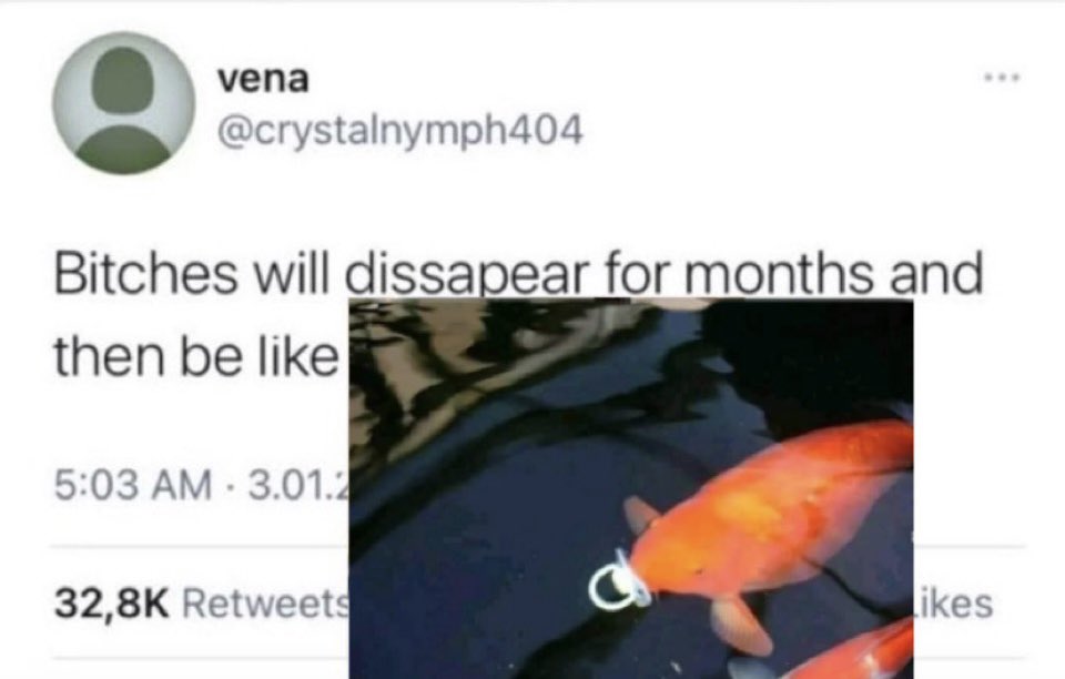 KoiAudio's tweet image. Who was gonna tell me i hit 5k??? What the heck🥸❤️