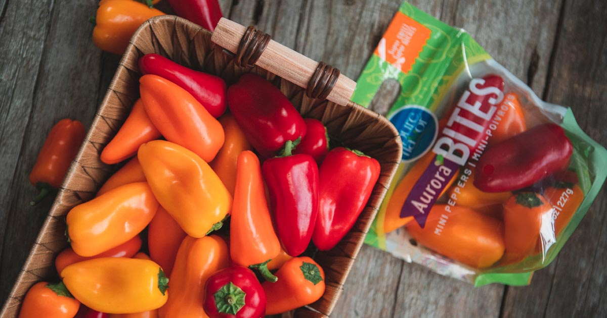 Discover Aurora Bites Mini Sweet #Peppers – the super #sweet snacking pepper that #kids crave and parents love. 

Grown from the award-winning <a href="/tribellisweet/">Tribelli</a> seed, they are a perfect grab-and-go #snack. Check out all their amazing health benefits: pure-flavor.social/Colorful-Auror…