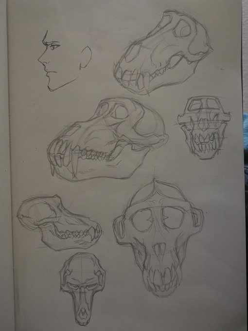 Kinda old animal studies I did once 