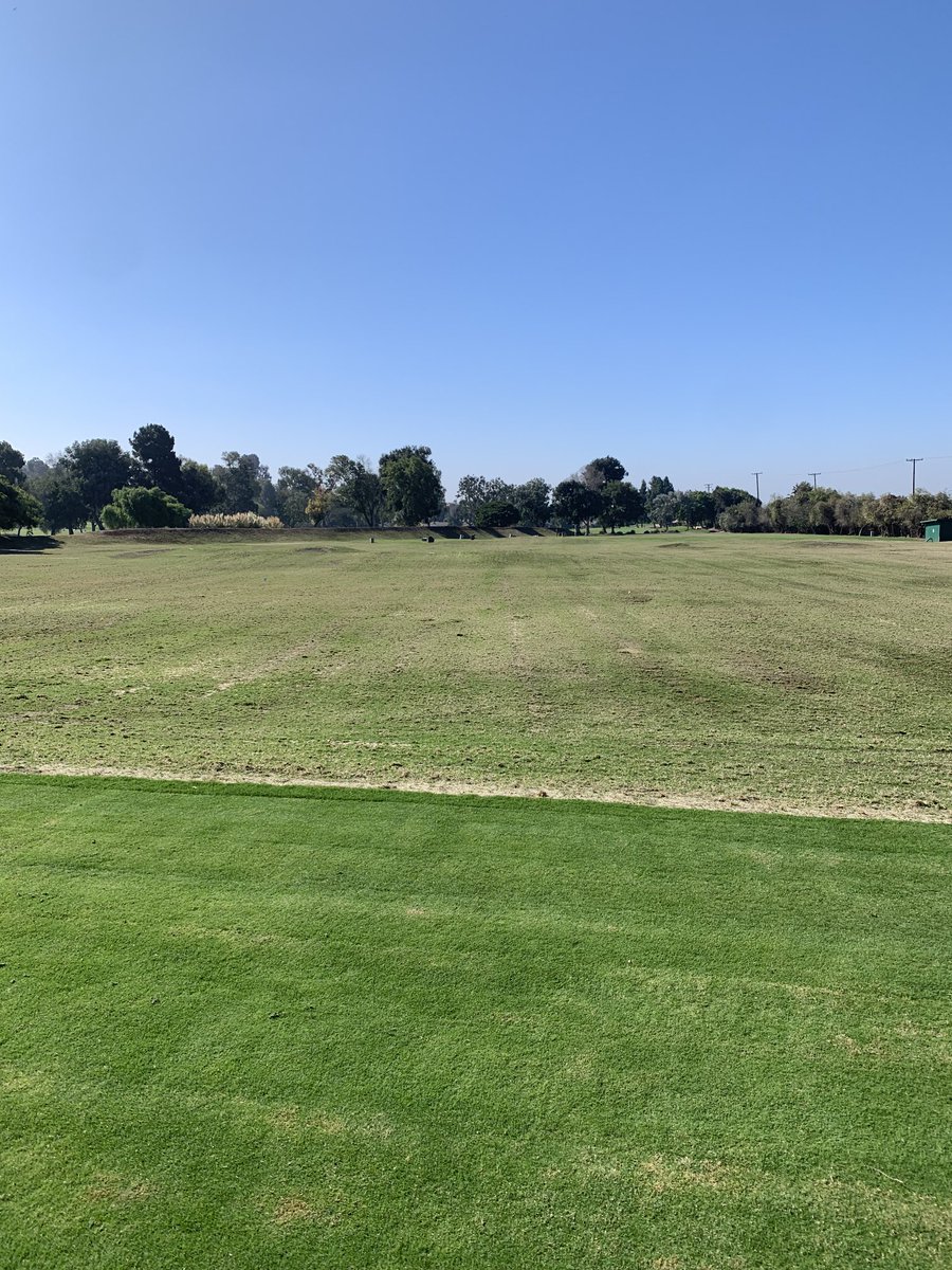 Dan Miller tweet media