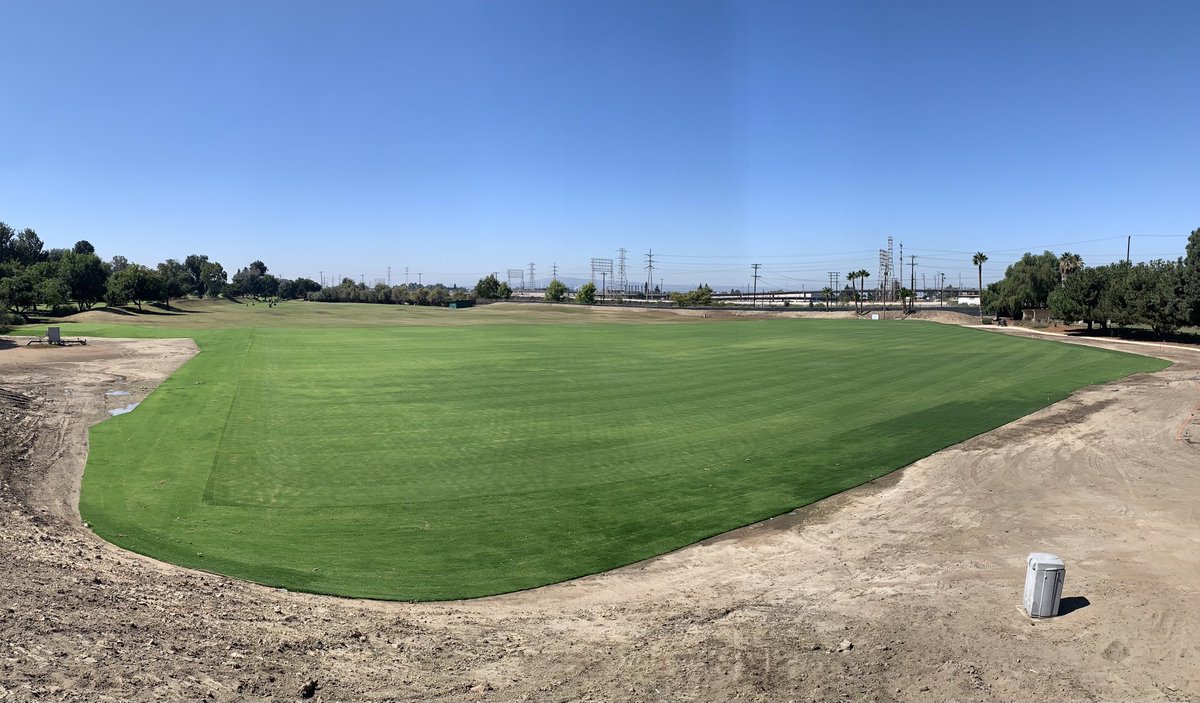 Dan Miller tweet media