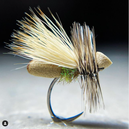 FarmsWhiting's tweet photo. Sweet Caddis, I can see having a variety of colors
tied by @the_fly_designer
Foam Caddis. Started tying without a plan, and this is what I ended up with.
.
.
.

#flyfishing  #trout #flytying  #stillwater #tailwaterjunkie   #caddis  #midges #may#fly #mayflies #caddis #tk2drawit https://t.co/8EqyQBmea0