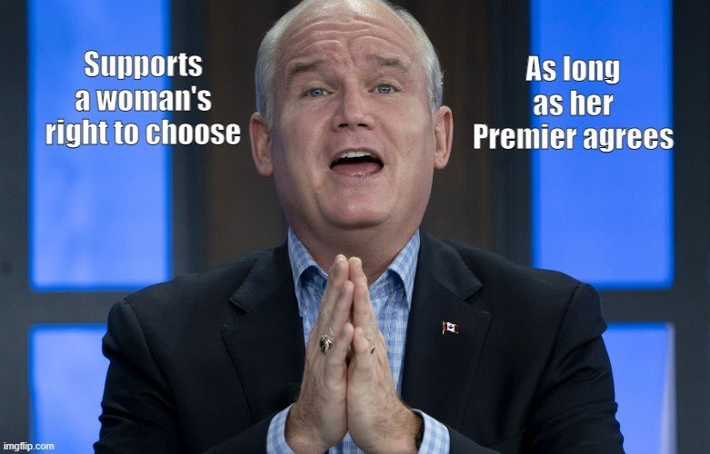 This says it all #cdnpoli #elxn44