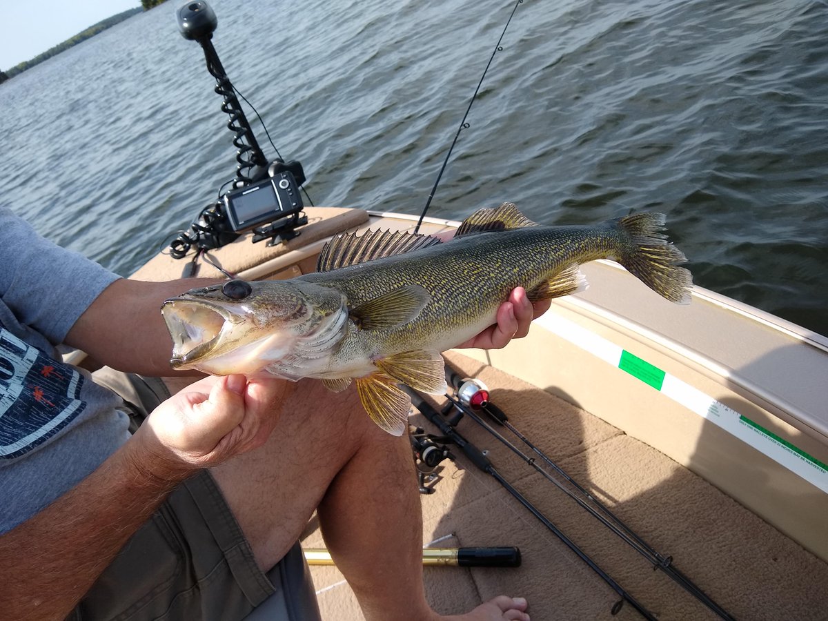 NorthernSky98's tweet photo. 😊🎣 Had a great #Northwoods business trip #PinesKab on #KabetogamaLake in #VoyageursNationalPark &amp; even got to spend some time with our former clients Don &amp; Brenda Granger.  Looking forward to returning in the spring! 
#visitkab #fishmn #setthehook #fallfishing #walleye #fishmn https://t.co/exwOtKZ8kp