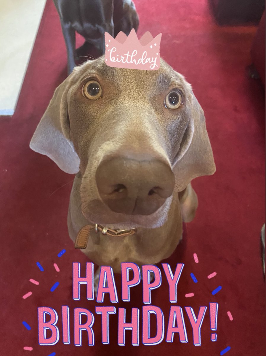 Happy Birthday to our Clementine 🤍🥳