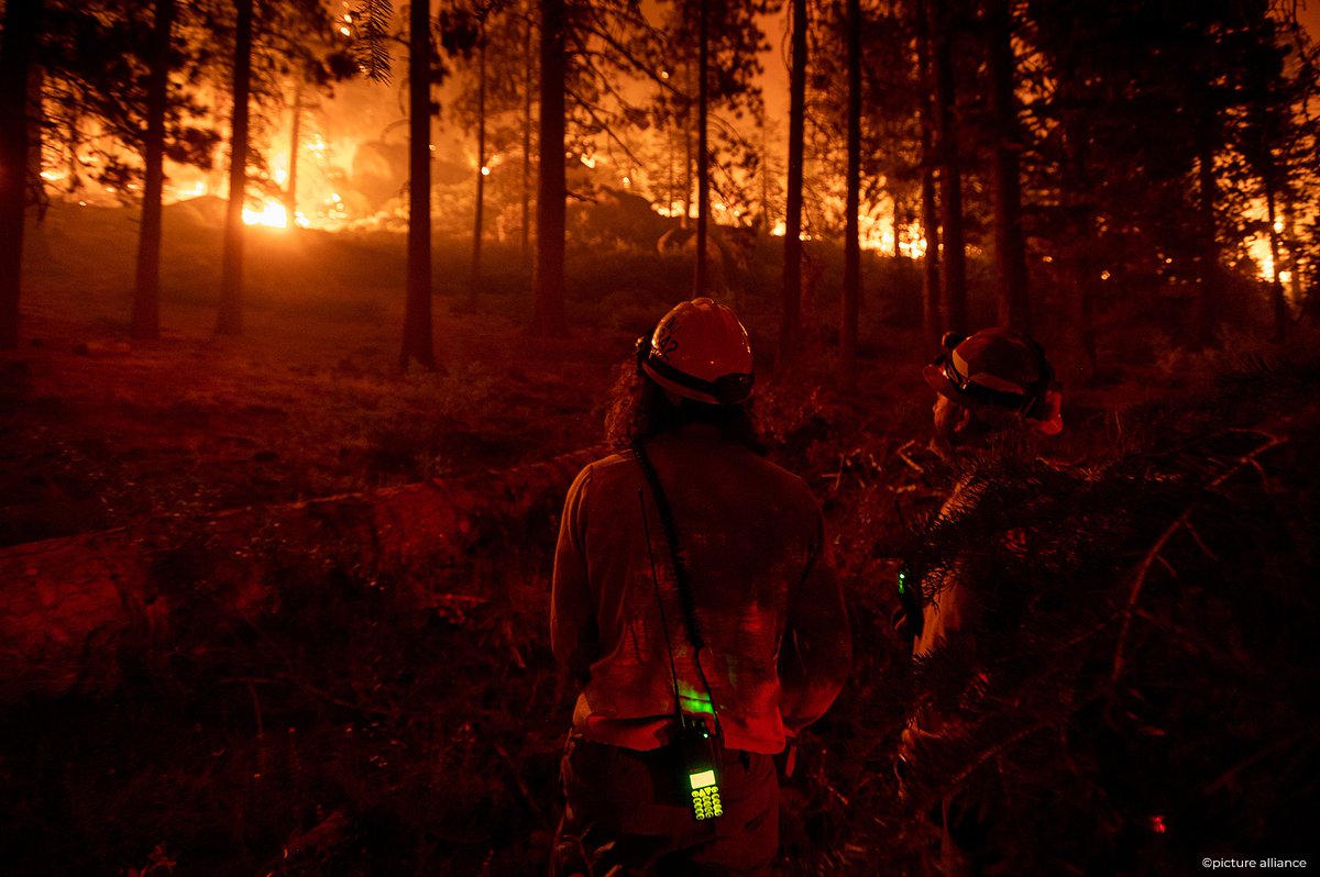 GermanAmbUSA's tweet photo. When I see harrowing images of the #caldorefire, I despair of climate change's human impact. The international community must and will do more to combat it.
My thoughts are with everyday Americans, their loved ones, and the first responders. https://t.co/WlaTJDT3GQ