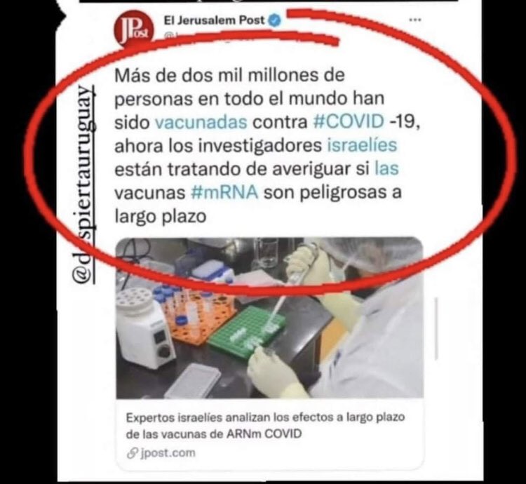 ArcangeldeVox's tweet photo. 🚨🚨🚨🚨🚨🚨🚨¿Ahora?. ¡Ya hay que ser HDLGP! 🤬🤬🤬🤬🤬🤬
#TeamVox  #LevantandoEspaña #VOXEsImparable #ChicasVox52 https://t.co/Dv5XfV2hk0