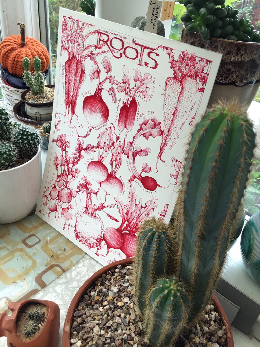 aheavysoul's tweet image. A gloomy day in #ThePottingShed but I finished this new piece. It’s a celebration of Britain’s favourite root veg. And a celeriac 😂 #neverforgetyourroots #rootvegetables #illustration #Illustrator #illustrationartists #andreajoseph #cookbookillustration