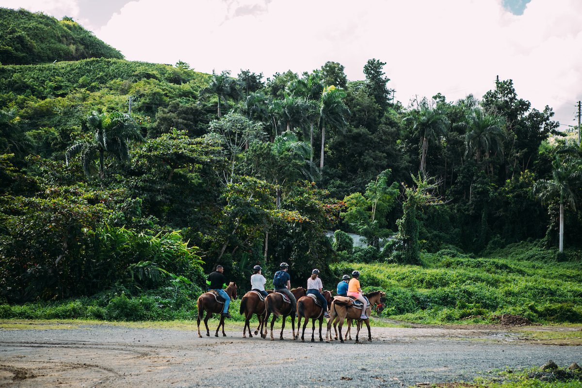 MeetingsInPR's tweet photo. In #PuertoRico, your attendees can explore the lush foothills of El Yunque National Forest in a very unique way. Book a group horseback ride at @CarabaliPark and #MeetinFullColor in our great outdoors.💚🇵🇷 #ItsTimeToPlan #DiscoverPuertoRico https://t.co/EZLWGdxvGy https://t.co/lhYoSsctLB